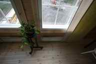 viher